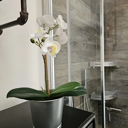 Loft Industrial לקו