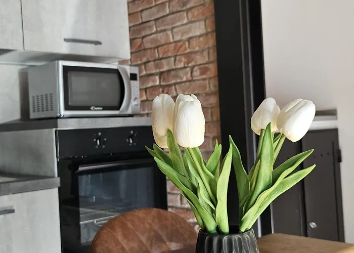 Апартаменты Loft Industrial