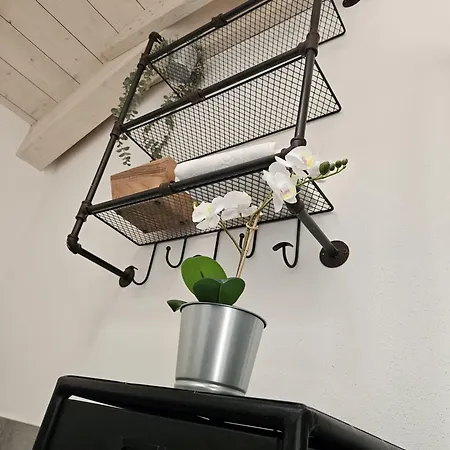 Loft Industrial *